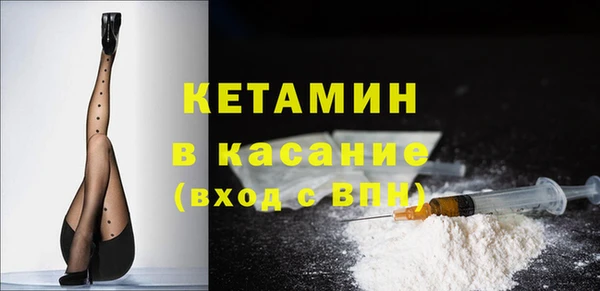 сатива Заводоуковск