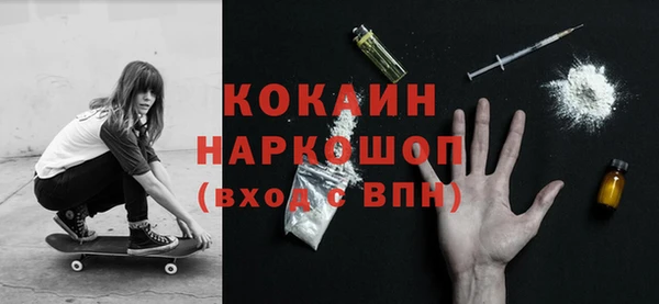 сатива Заводоуковск