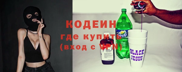 сатива Заводоуковск