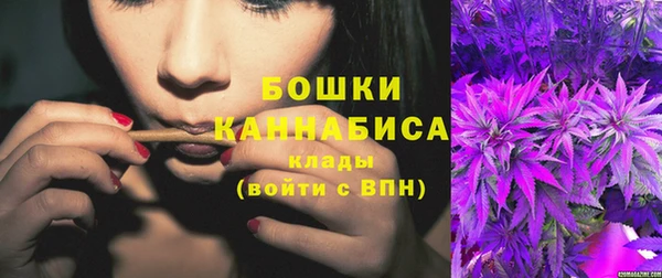 сатива Заводоуковск