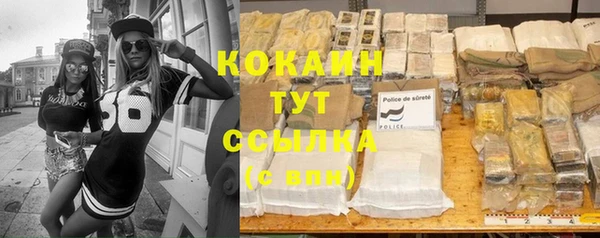 сатива Заводоуковск