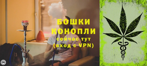 сатива Заводоуковск